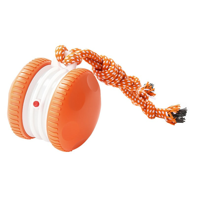 SmartRoll Interactive Dog Toy